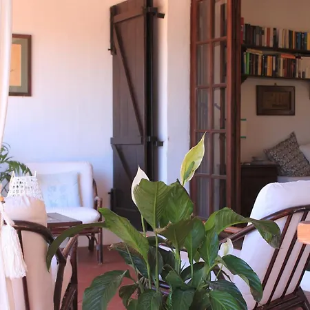 Con Discesa Privata A Mare