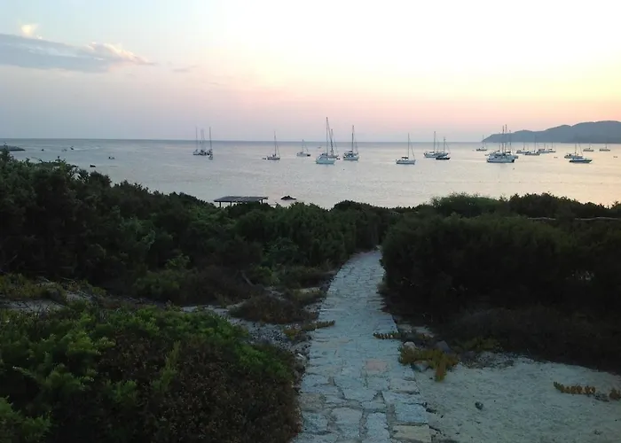 Con Discesa Privata A Mare 别墅 维拉西米乌斯