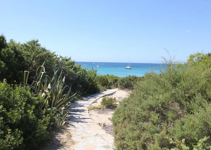 Con Discesa Privata A Mare 别墅